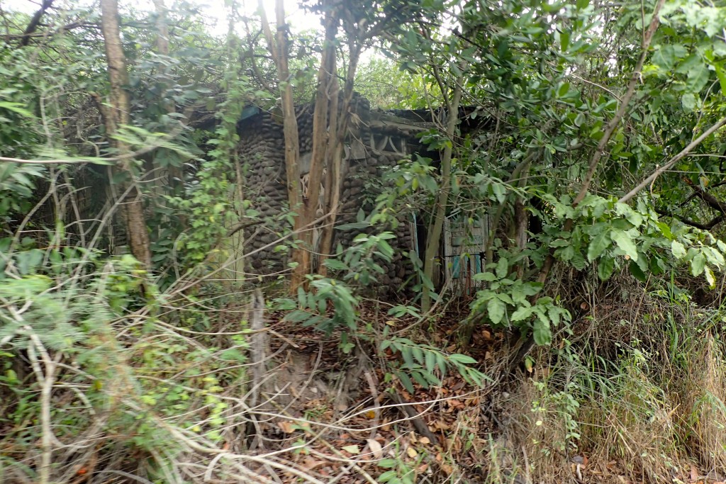 Montserrat: Abandoned Overgrown Home